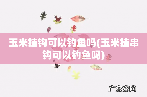 玉米挂串钩可以钓鱼吗 玉米挂钩可以钓鱼吗