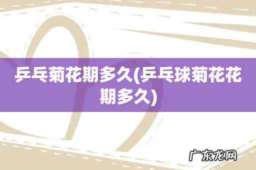 乒乓球菊花花期多久 乒乓菊花期多久