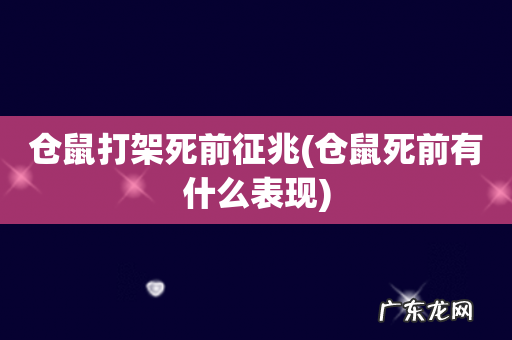 仓鼠死前有什么表现 仓鼠打架死前征兆