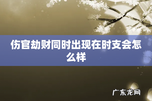 伤官劫财同时出现在时支会怎么样
