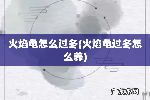 火焰龟过冬怎么养 火焰龟怎么过冬