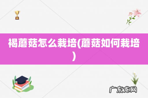 蘑菇如何栽培 褐蘑菇怎么栽培