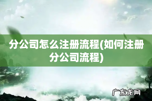 如何注册分公司流程 分公司怎么注册流程