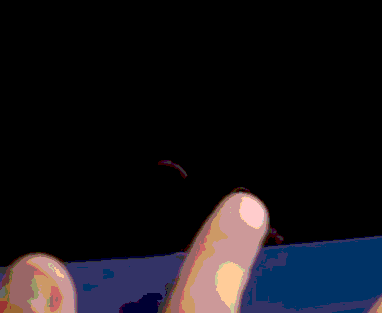 最简单的烤箱蛋糕 烤箱烤蛋糕用哪个功能图标