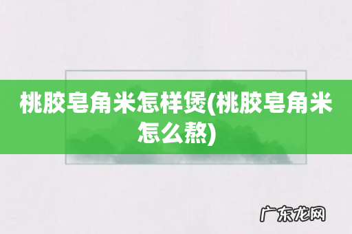 桃胶皂角米怎么熬 桃胶皂角米怎样煲
