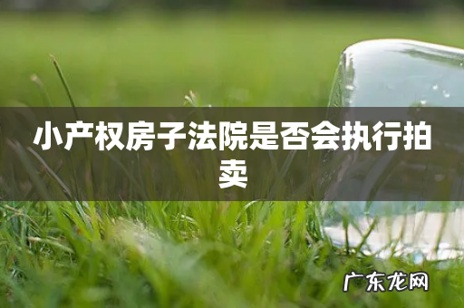 小产权房子法院是否会执行拍卖