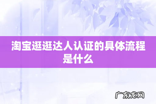 淘宝逛逛达人认证的具体流程是什么