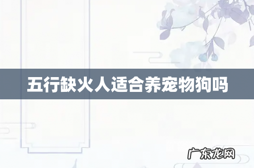 五行缺火人适合养宠物狗吗