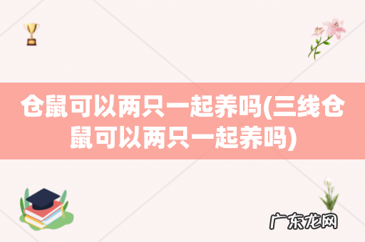 三线仓鼠可以两只一起养吗 仓鼠可以两只一起养吗