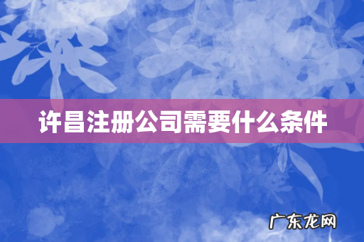 许昌注册公司需要什么条件