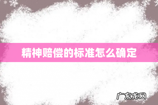 精神赔偿的标准怎么确定