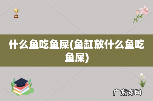 鱼缸放什么鱼吃鱼屎 什么鱼吃鱼屎