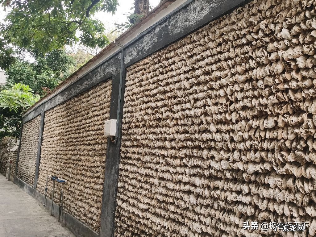 广州5大土豪村 广州风水大村