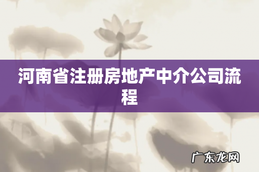 河南省注册房地产中介公司流程