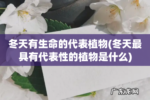 冬天最具有代表性的植物是什么 冬天有生命的代表植物