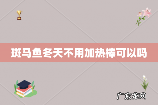 斑马鱼冬天不用加热棒可以吗