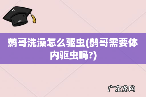 鹩哥需要体内驱虫吗? 鹩哥洗澡怎么驱虫