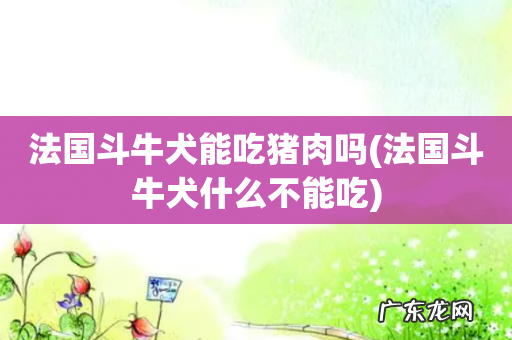 法国斗牛犬什么不能吃 法国斗牛犬能吃猪肉吗