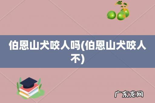 伯恩山犬咬人不 伯恩山犬咬人吗