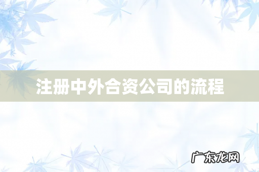 注册中外合资公司的流程