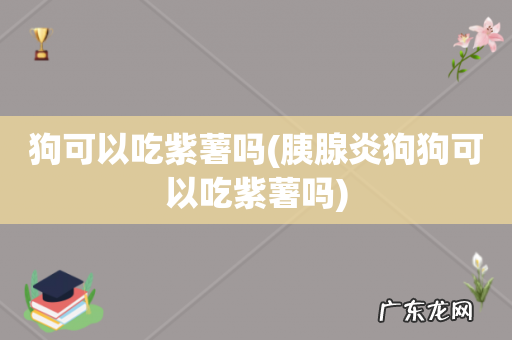 胰腺炎狗狗可以吃紫薯吗 狗可以吃紫薯吗