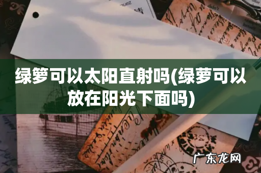 绿萝可以放在阳光下面吗 绿箩可以太阳直射吗