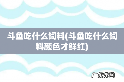 斗鱼吃什么饲料颜色才鲜红 斗鱼吃什么饲料