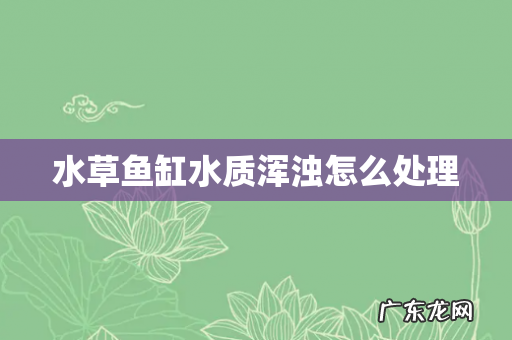 水草鱼缸水质浑浊怎么处理