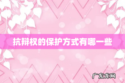 抗辩权的保护方式有哪一些