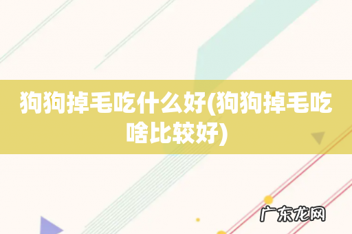狗狗掉毛吃啥比较好 狗狗掉毛吃什么好
