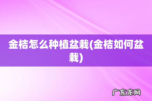 金桔如何盆栽 金桔怎么种植盆栽