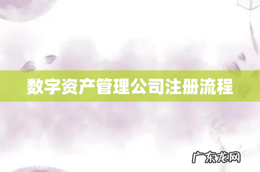 数字资产管理公司注册流程