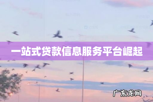 一站式贷款信息服务平台崛起