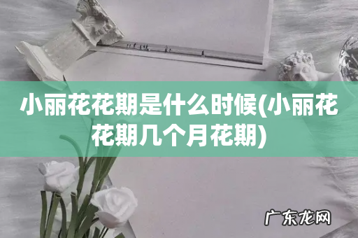 小丽花花期几个月花期 小丽花花期是什么时候