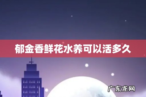 郁金香鲜花水养可以活多久