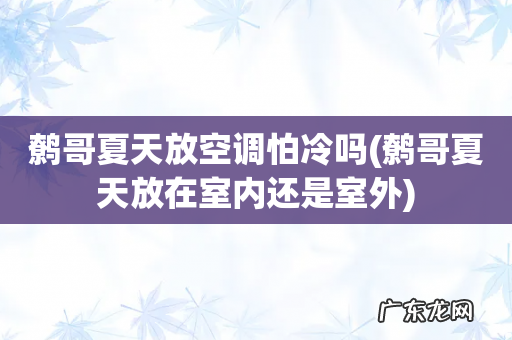 鹩哥夏天放在室内还是室外 鹩哥夏天放空调怕冷吗