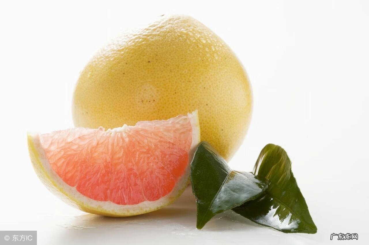 柚子的英文单词是什么 柚子的英文名字叫什么