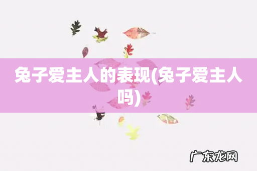 兔子爱主人吗 兔子爱主人的表现