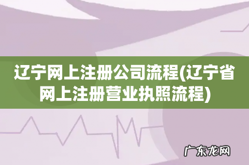 辽宁省网上注册营业执照流程 辽宁网上注册公司流程