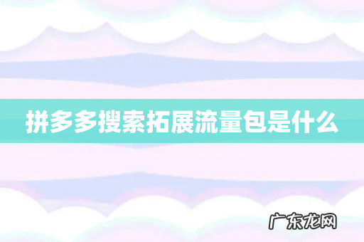 拼多多搜索拓展流量包是什么