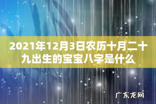 2021年12月3日农历十月二十九出生的宝宝八字是什么