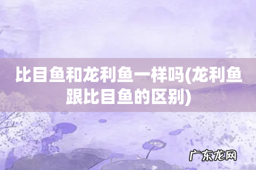 龙利鱼跟比目鱼的区别 比目鱼和龙利鱼一样吗