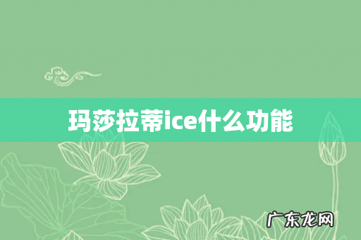 玛莎拉蒂ice什么功能