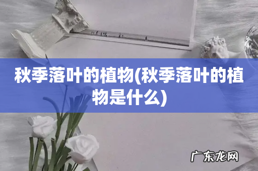 秋季落叶的植物是什么 秋季落叶的植物