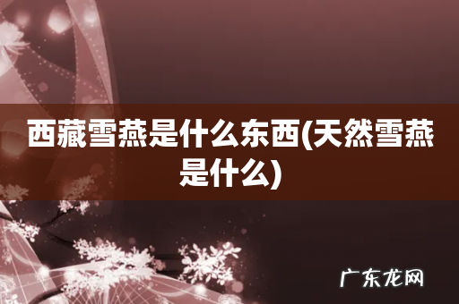 天然雪燕是什么 西藏雪燕是什么东西