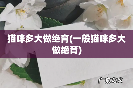 一般猫咪多大做绝育 猫咪多大做绝育