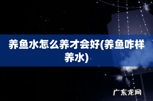 养鱼咋样养水 养鱼水怎么养才会好