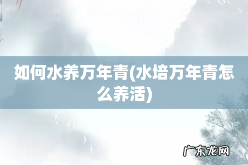 水培万年青怎么养活 如何水养万年青
