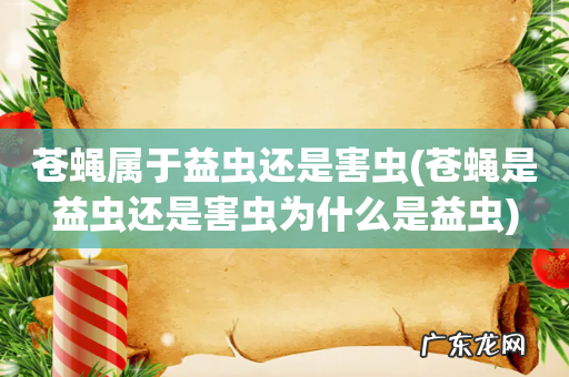 苍蝇是益虫还是害虫为什么是益虫 苍蝇属于益虫还是害虫