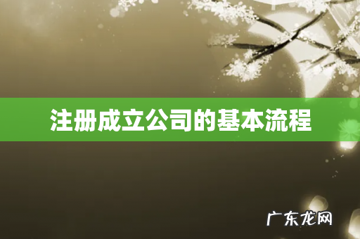 注册成立公司的基本流程